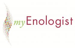 my enologist logo