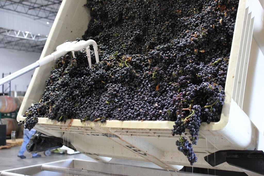 the wine foundry
