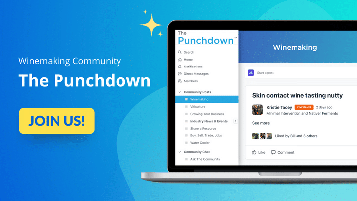 punchdown join us today