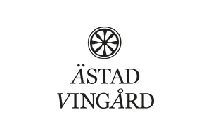 AĚstad VingaĚrd-Halland--International