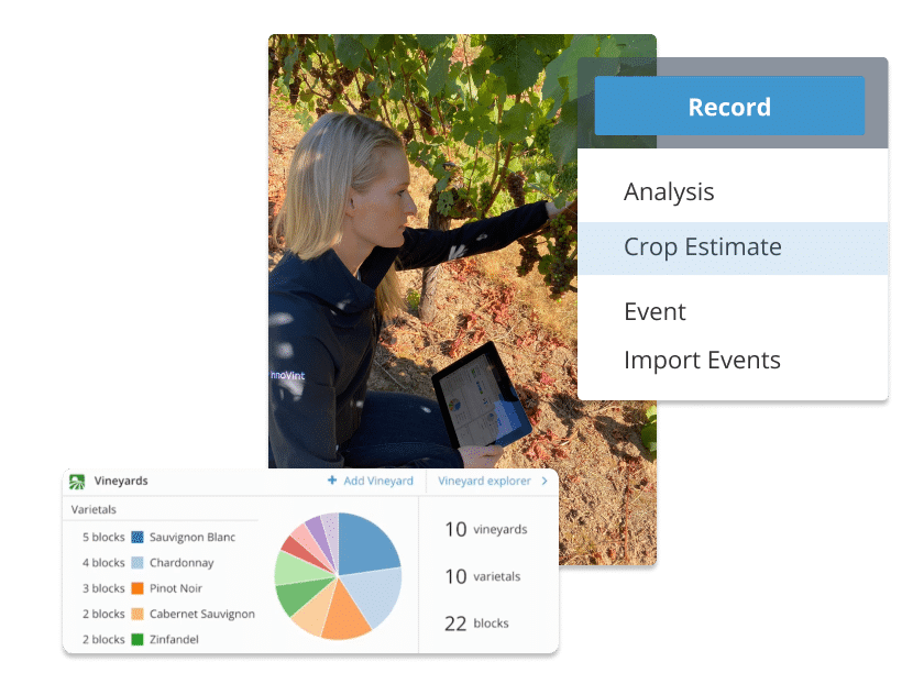 vineyard report system